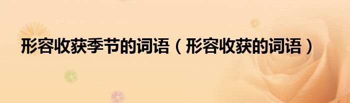 形容收获季节的词语(形容收获的词语)
