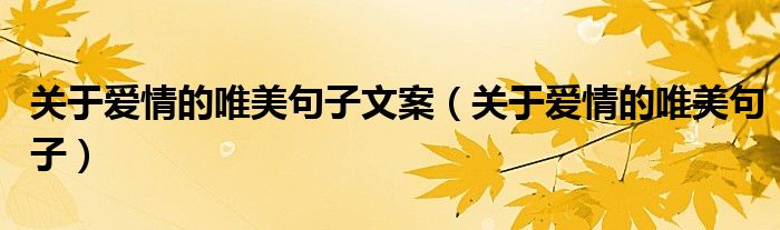 关于爱情的唯美句子文案(关于爱情的唯美句子)