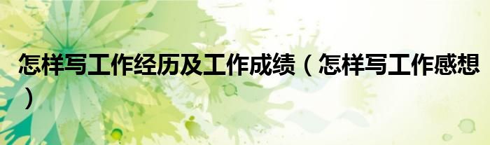 怎样写工作经历及工作成绩(怎样写工作感想)