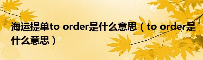 海运提单to order是什么意思(to order是什么意思)