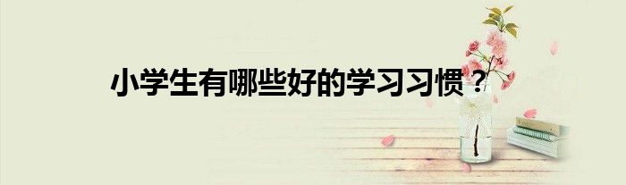 小学生有哪些好的学习习惯?