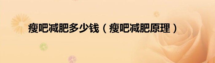 瘦吧减肥多少钱(瘦吧减肥原理)