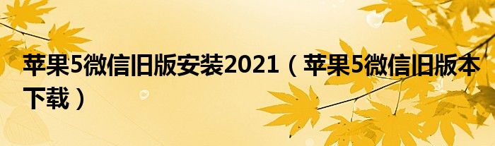 苹果5微信旧版安装2021(苹果5微信旧版本下载)
