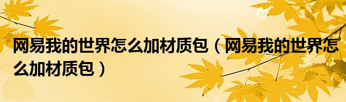 网易我的世界怎么加材质包(网易我的世界怎么加材质包)