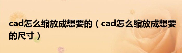 cad怎么缩放成想要的(cad怎么缩放成想要的尺寸)