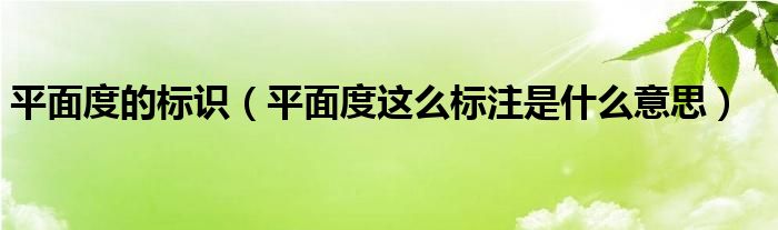平面度的标识(平面度这么标注是什么意思)
