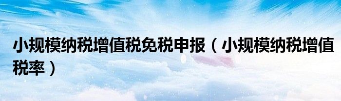 小规模纳税增值税免税申报(小规模纳税增值税率)
