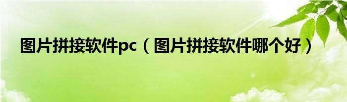 图片拼接软件pc(图片拼接软件哪个好)