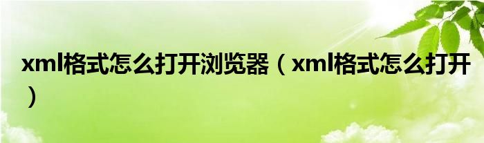 xml格式怎么打开浏览器(xml格式怎么打开)
