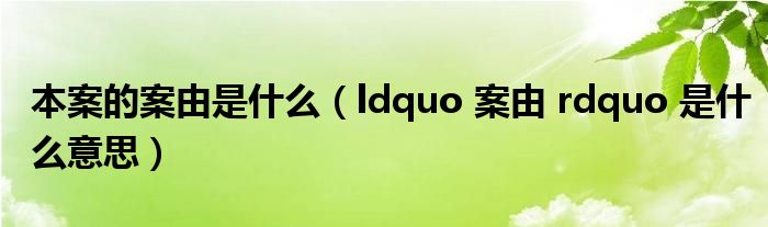 本案的案由是什么(ldquo 案由 rdquo 是什么意思)