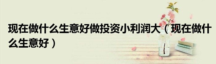 现在做什么生意好做投资小利润大(现在做什么生意好)