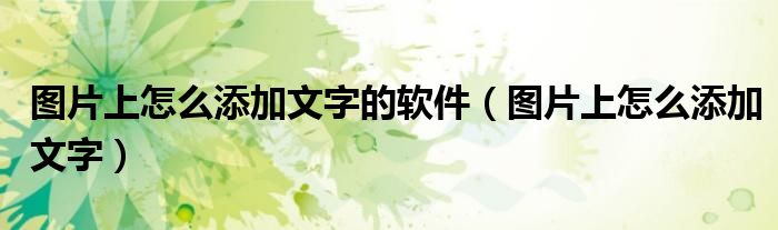 图片上怎么添加文字的软件(图片上怎么添加文字)
