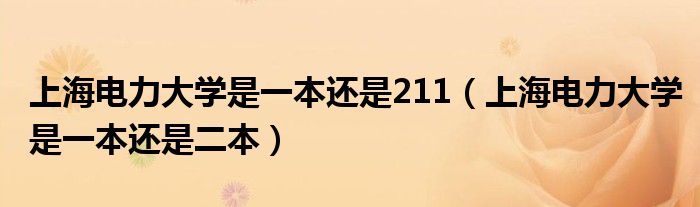 上海电力大学是一本还是211(上海电力大学是一本还是二本)