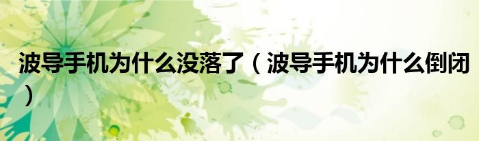 波导手机为什么没落了(波导手机为什么倒闭)