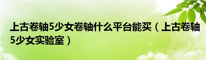 上古卷轴5少女卷轴什么平台能买(上古卷轴5少女实验室)