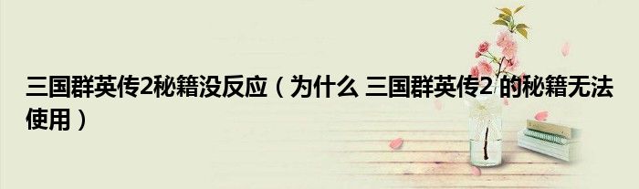 三国群英传2秘籍没反应(为什么 三国群英传2 的秘籍无法使用)