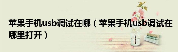 苹果手机usb调试在哪(苹果手机usb调试在哪里打开)