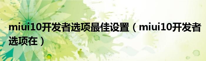 miui10开发者选项最佳设置(miui10开发者选项在)