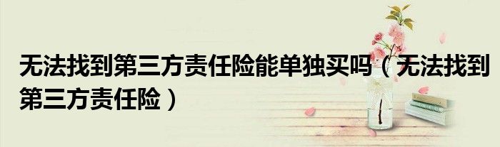 无法找到第三方责任险能单独买吗(无法找到第三方责任险)