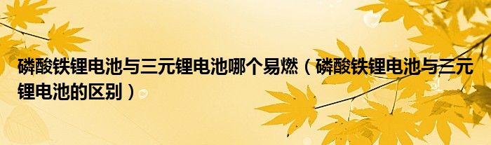 磷酸铁锂电池与三元锂电池哪个易燃(磷酸铁锂电池与三元锂电池的区别)