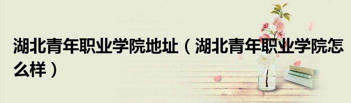 湖北青年职业学院地址(湖北青年职业学院怎么样)