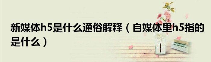 新媒体h5是什么通俗解释(自媒体里h5指的是什么)
