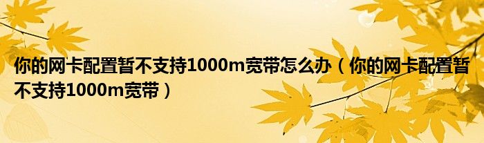 你的网卡配置暂不支持1000m宽带怎么办(你的网卡配置暂不支持1000m宽带)