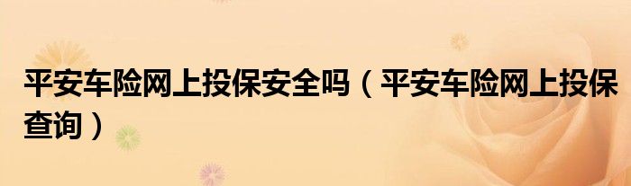 平安车险网上投保安全吗(平安车险网上投保查询)