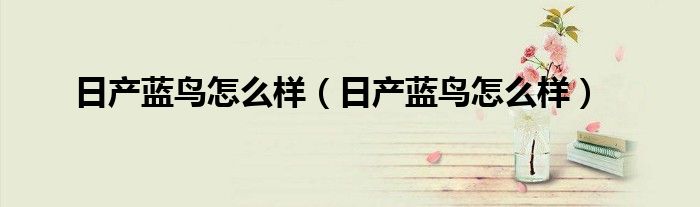 日产蓝鸟怎么样(日产蓝鸟怎么样)