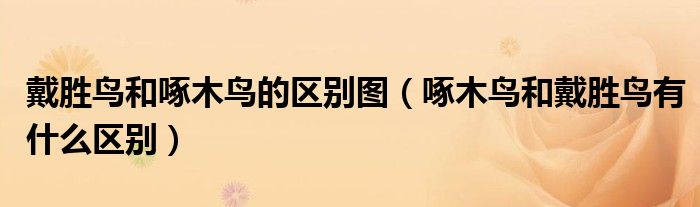 戴胜鸟和啄木鸟的区别图(啄木鸟和戴胜鸟有什么区别)