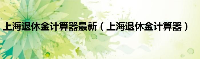 上海退休金计算器最新(上海退休金计算器)