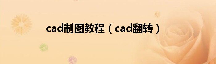 cad制图教程(cad翻转)