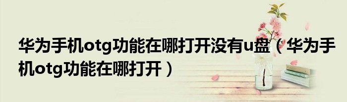 华为手机otg功能在哪打开没有u盘(华为手机otg功能在哪打开)