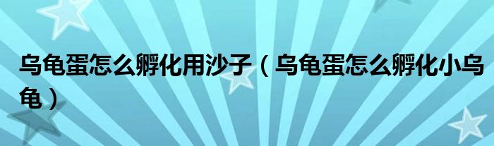 乌龟蛋怎么孵化用沙子(乌龟蛋怎么孵化小乌龟)