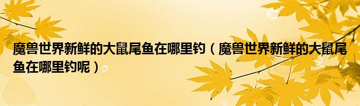 魔兽世界新鲜的大鼠尾鱼在哪里钓(魔兽世界新鲜的大鼠尾鱼在哪里钓呢)