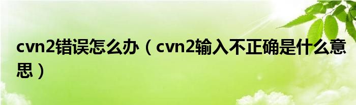 cvn2错误怎么办(cvn2输入不正确是什么意思)