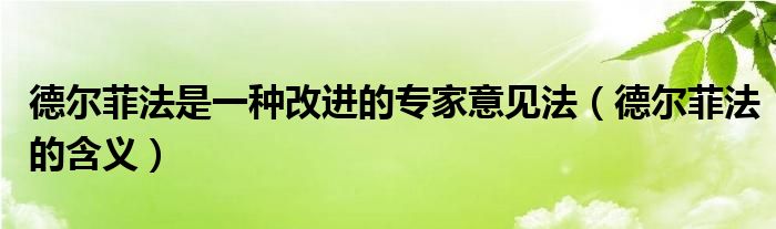 德尔菲法是一种改进的专家意见法(德尔菲法的含义)