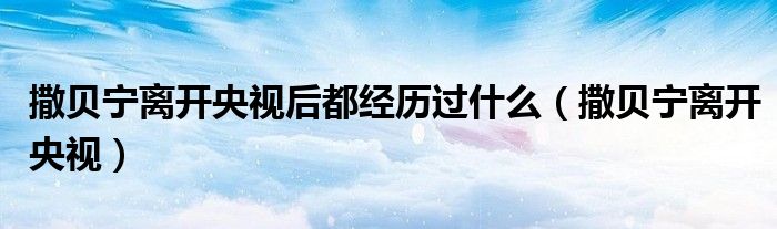 撒贝宁离开央视后都经历过什么(撒贝宁离开央视)
