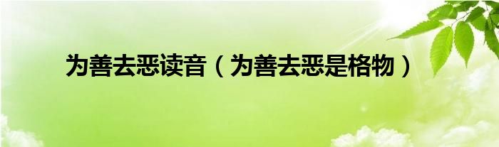 为善去恶读音(为善去恶是格物)