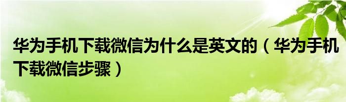 华为手机下载微信为什么是英文的(华为手机下载微信步骤)