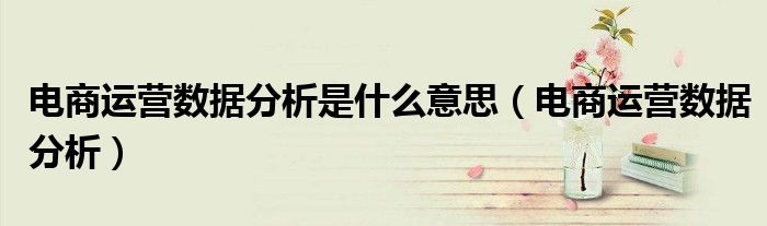 电商运营数据分析是什么意思(电商运营数据分析)