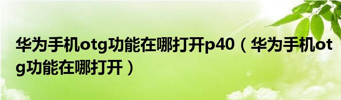 华为手机otg功能在哪打开p40(华为手机otg功能在哪打开)