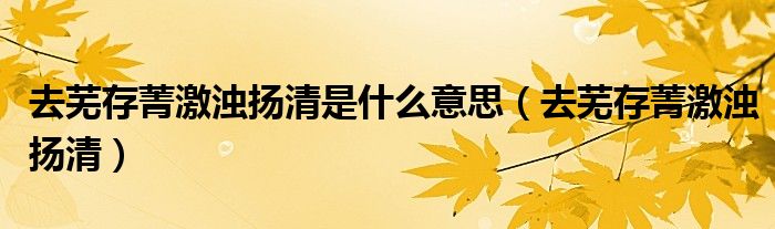 去芜存菁激浊扬清是什么意思(去芜存菁激浊扬清)