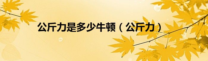公斤力是多少牛顿(公斤力)