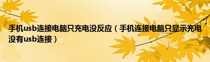 手机usb连接电脑只充电没反应(手机连接电脑只显示充电没有usb连接)