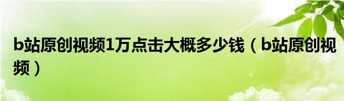 b站原创视频1万点击大概多少钱(b站原创视频)