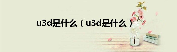 u3d是什么(u3d是什么)