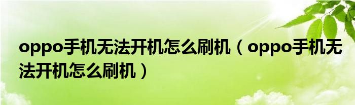 oppo手机无法开机怎么刷机(oppo手机无法开机怎么刷机)