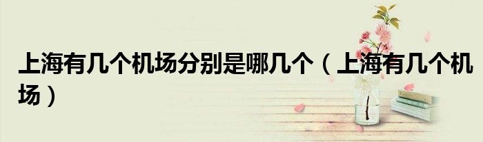 上海有几个机场分别是哪几个(上海有几个机场)