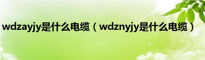 wdzayjy是什么电缆(wdznyjy是什么电缆)